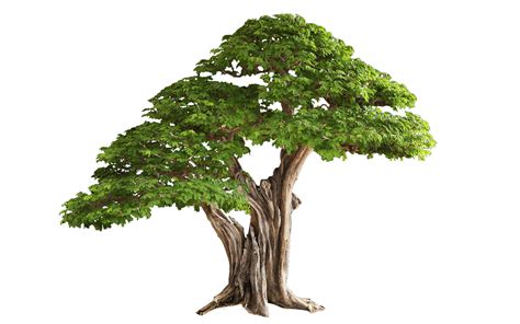 png hd download|pngtree free download.